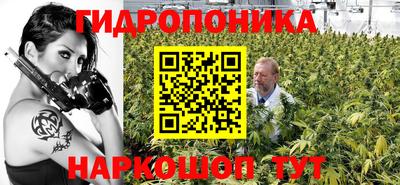 ECSTASY Уссурийск