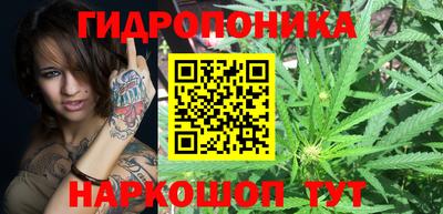 ECSTASY Уссурийск