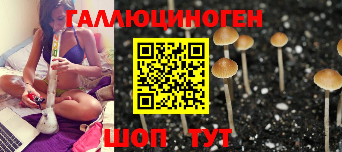 продажа наркотиков  Вход с VPN  Мелеуз  Галлюциногенные грибы GOLDEN TEACHER 